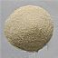 Wheat protein concentrate feed grade 